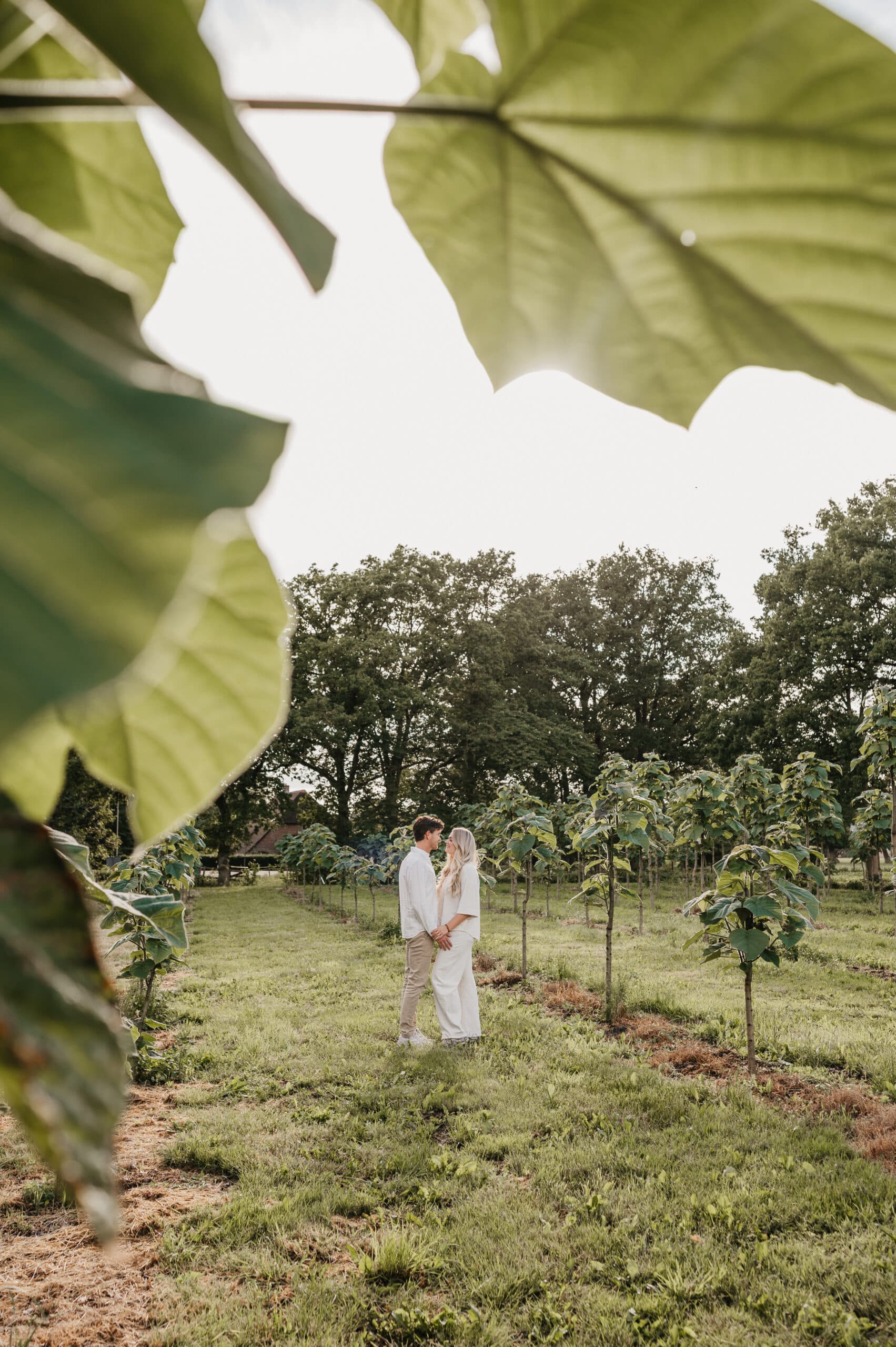 Stel tijdens loveshoot in zonnige boomgaard – Studio Roos Fotografie